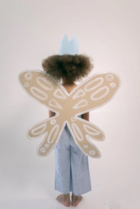 DIY Butterfly wings